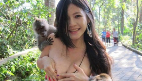 Taiwaneza dezbracata de maimute